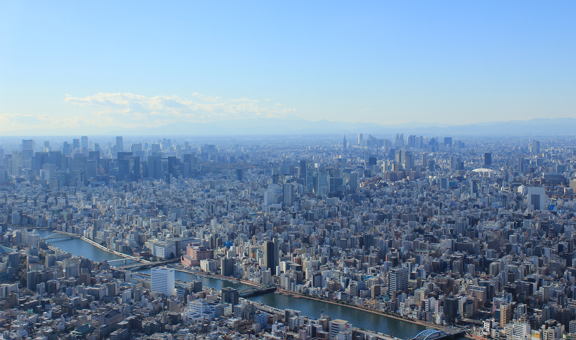 大忠環境サービス